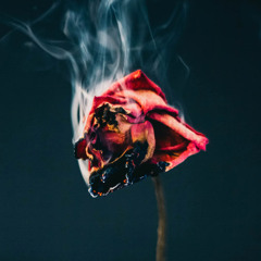 OUT OF LOVE