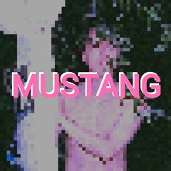 MUSTANG - YOUNG PHD