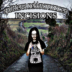 INCISIONS (decembrr42)