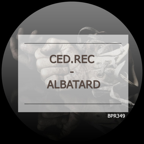 Ced.Rec - ALBATARD [ BPR349 ]