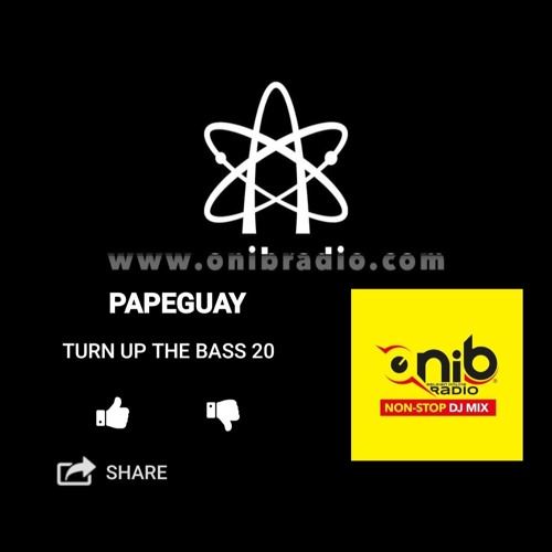 TURN UP THE BASS 20 / PAPEGUAY