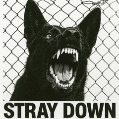 Stray Down! Ft. Luvv_kuj0, Nervzz, Kashi