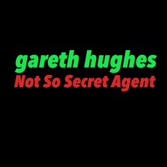 Not So Secret Agent