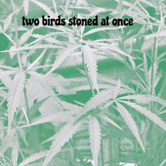 Two Birds Stoned At Once