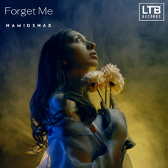 Hamidshax - Forget Me (Original Mix)