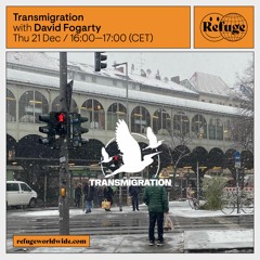 Transmigration - David Fogarty - 21 Dec 2023
