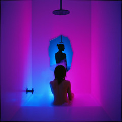 Borderline Polyfidelity 5