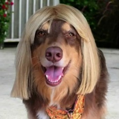 xul & xaviersobased - Omd (Swagg) [prod. clay10 & miso]