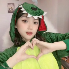 VIET NAM MY HOME Masew Remix