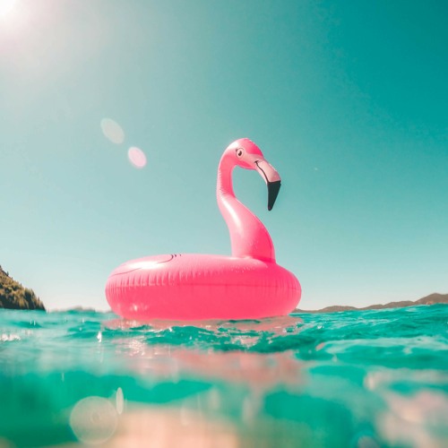 The dancing flamingo
