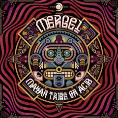 Mayan Tribe on Acid (Original Mix)