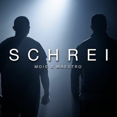 Maestro & Mois – Schrei (1.1x Sped up + Reverb)