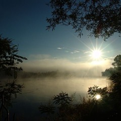 Calm Morning