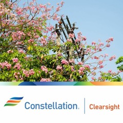 Vegetation Management: The Benefits of LiDAR Technology