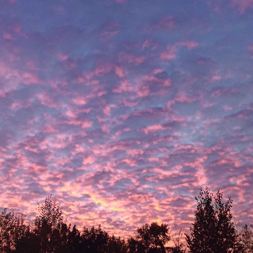 my heart beat is calling ur name