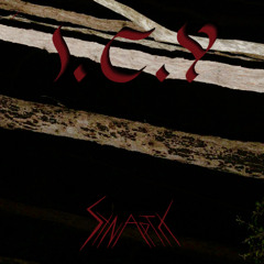 I.C.Y Synaptx Takeover @ Weaselstock 2025