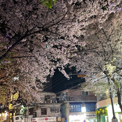 디제이스이리 Spring 2025-05-05