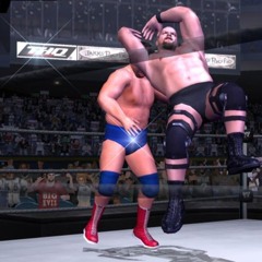 STONE COLD STUNNER