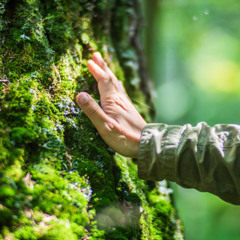 Organic Chill Out mix