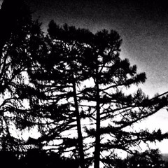 Church of Brothers - Cycle (Demo)
