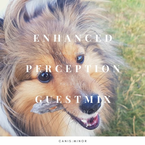Enhanced Perception 7th Anniversary Guestmix [16 Dec 2021]