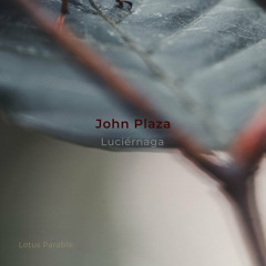 AF Premiere: John Plaza - Liceu [Lotus Parable][OUT!!18.01.24]