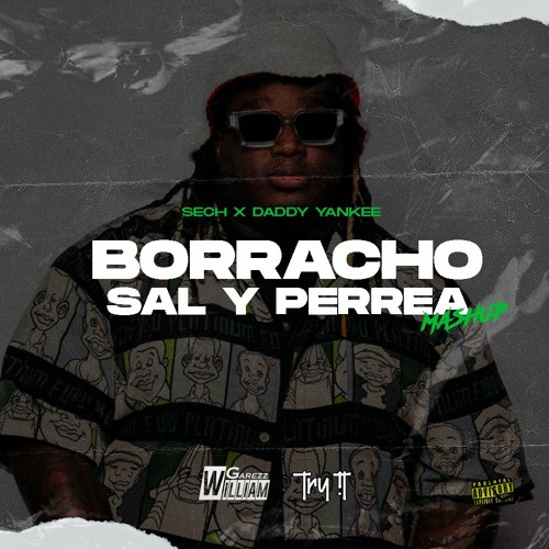 Sal Y Perrea X Borracho (Try It & William Garezz Mashup)