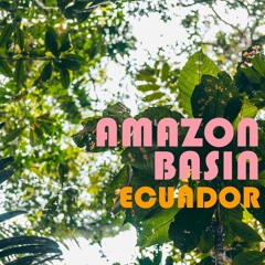 Amazon Basin Ecuador - Library Sample