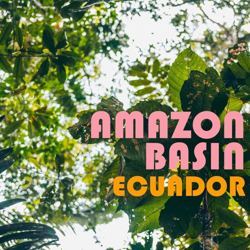 Amazon Basin Ecuador - Library Sample