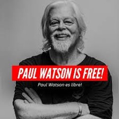 Captain Paul Watson Speaks From France about Captivity in Greenland & anti-whaling plans 2025