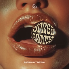 Barkla & Tineway -  Bored Groove