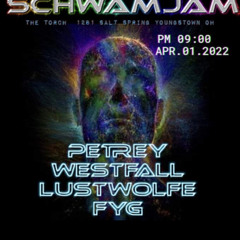 Feeling Foolish Live At The Schwamjam 04 - 01 - 22
