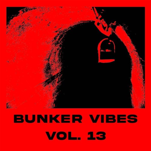 DTC - Hard & Schranz Techno Mix - Bunker Vibes Vol. 13