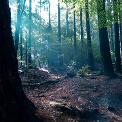 Sahaatyva - Far Away Ambient (sg75 Remix)