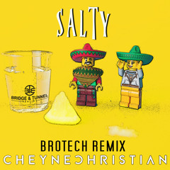 Cheyne Christian, Brotech - Salty (Brotech Remix)