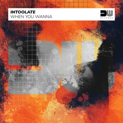 Intoolate - When You Wanna (Radio Mix)