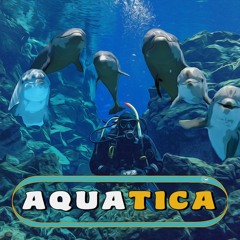 Getting Loopy_Aquatica