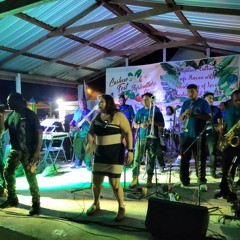 Gilharry 7 band Live in Concert Crooked Tree Cashew Fest Day2