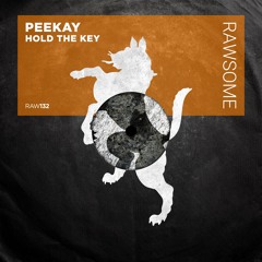 Peekay - Hold The Key [RAW132]