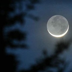 My Love Mine All Mine (Short Cover)