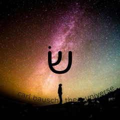 The Universe I