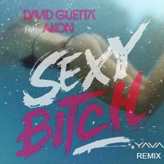 David Guetta ft. Akon - Sexy Bitch (YAVA Remix)