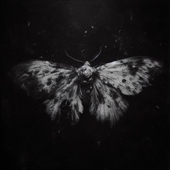 Casette 1 Clean (dissonant)