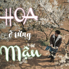 NHẠC HOA Ở RỪNG MẬN - MR.PHIÊU ( NGHE FULL VÀO LINK YOUTUBE DƯỚI BÌNH LUẬN )