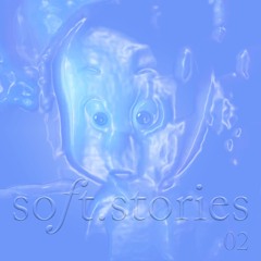 soft.stories ੈ✩‧₊˚.02