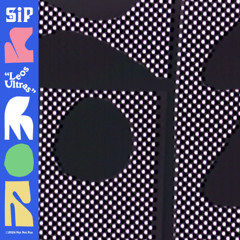 SiP - Hard Times [Not Not Fun]