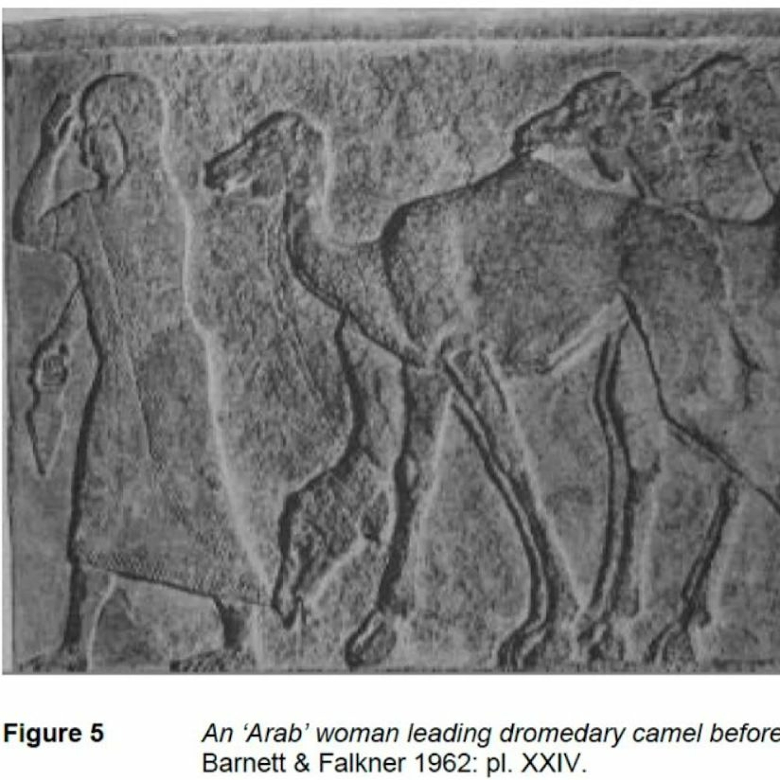 Queens of the Arabs