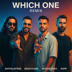WHICH ONE DRAKE - REMIX BY MONTAIGNE -  DAT PALM TREE - KSPR - BRODIE