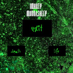 01. IMHXTP X MUDDASHEEP - INSANEMIGRAINE