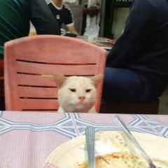 Podact Faites Dodo Avec Lolo - Episode 3 - Le Végétarien